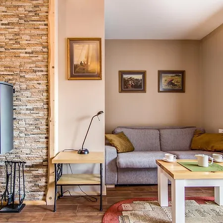 Tatra View Koscielisko 公寓 *