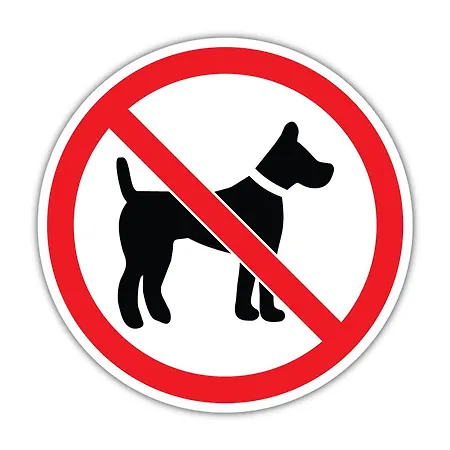 公寓 Tatra View Koscielisko