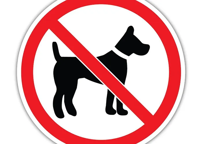 Appartamento Tatra View Koscielisko